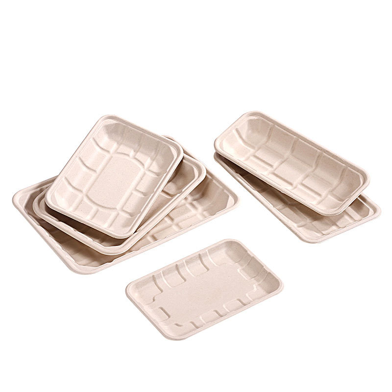 Rectangular Sugarcane Fibre Catering Tray