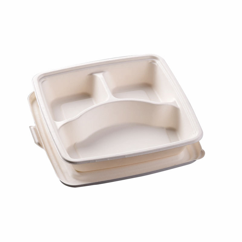 Bagasse Divided Serving Tray