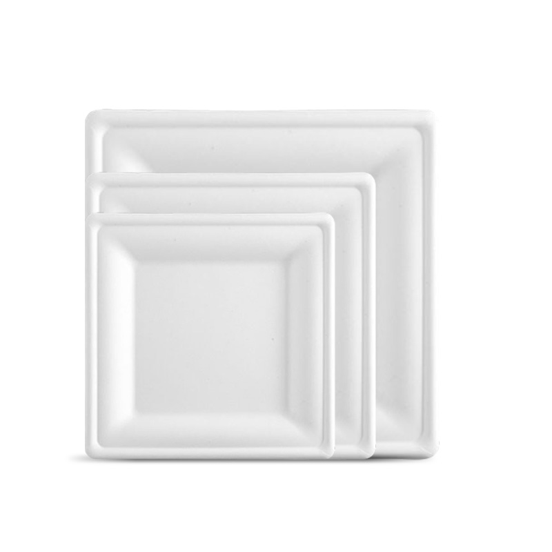 Sugarcane Bagasse Square Plate