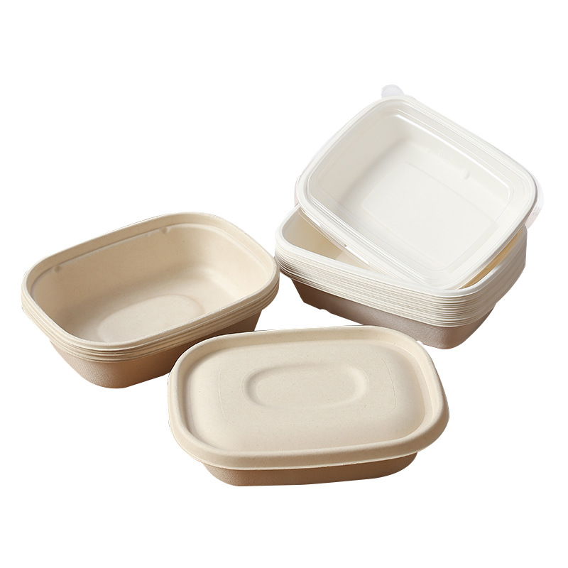 Bagasse Fast Food Box