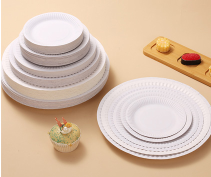 Paper Tableware