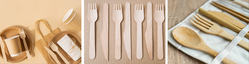 Biodegradable Disposable Tableware