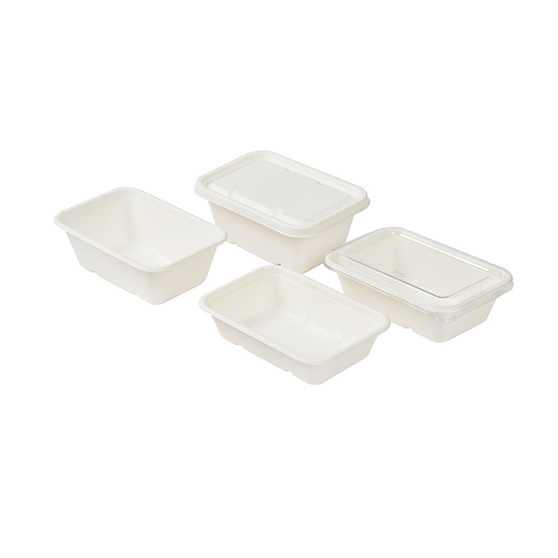 Sugarcane Rectangular Lunch Box