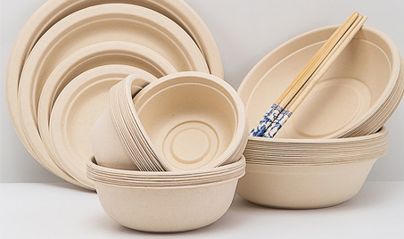 Innovative Eco-Friendly Tableware: Sugarcane Bagasse Gains Popularity