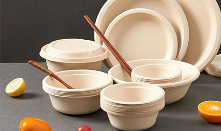 The Market for Biodegradable Tableware