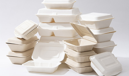 The Market for Disposable Biodegradable Tableware