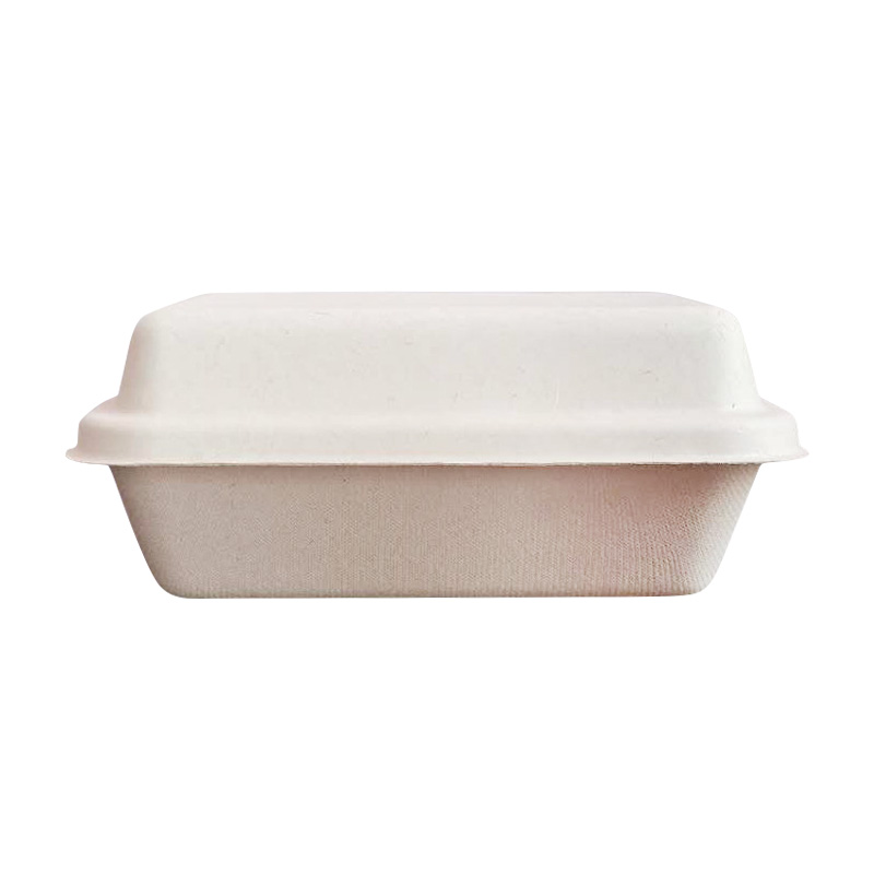 Rectangle Bagasse Salad Container