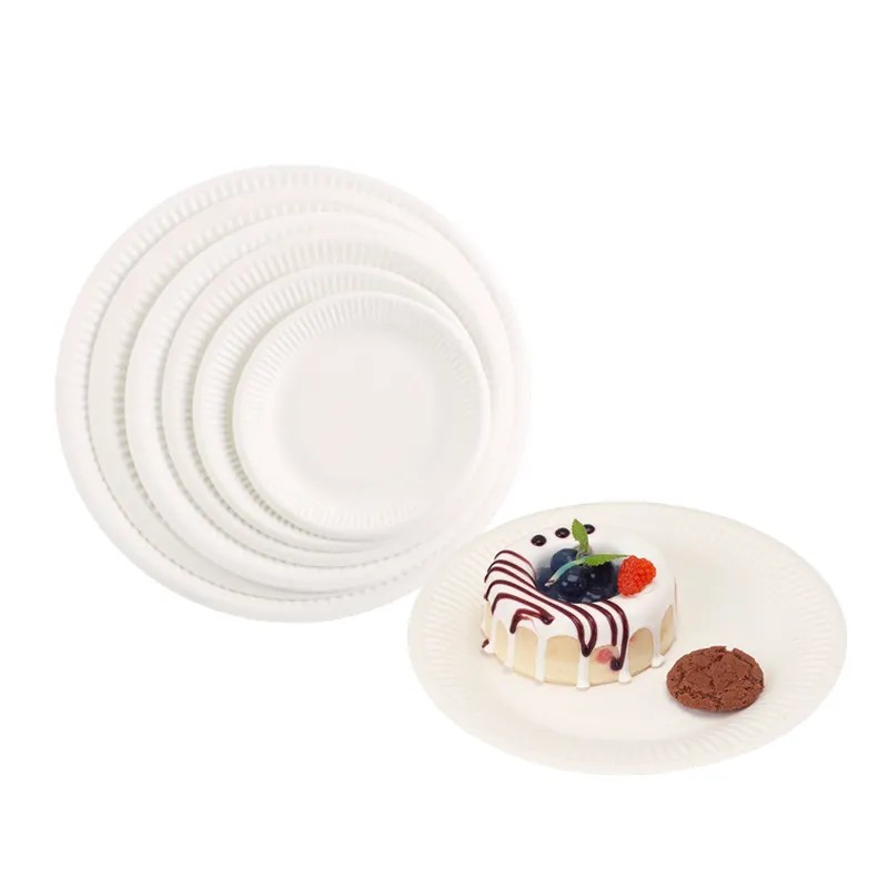 Paper Plates Manufacturer